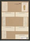 Rhaphoneis lanceolata Ehr. (de-Toni-Nr.: Genus 78, Species 2854) Zeichnungen Sammlung Grunow Nr. 5807 (NHMW-BOT-W0374220)